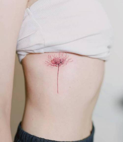 By Nando, done in Seoul. http://ttoo.co/p/71561 flower;small;nando;rib;tiny;ifttt;little;nature;medium size;red spider lily;illustrative