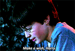 tumblr_mqttnfkGjA1rps4xgo1_250.gif