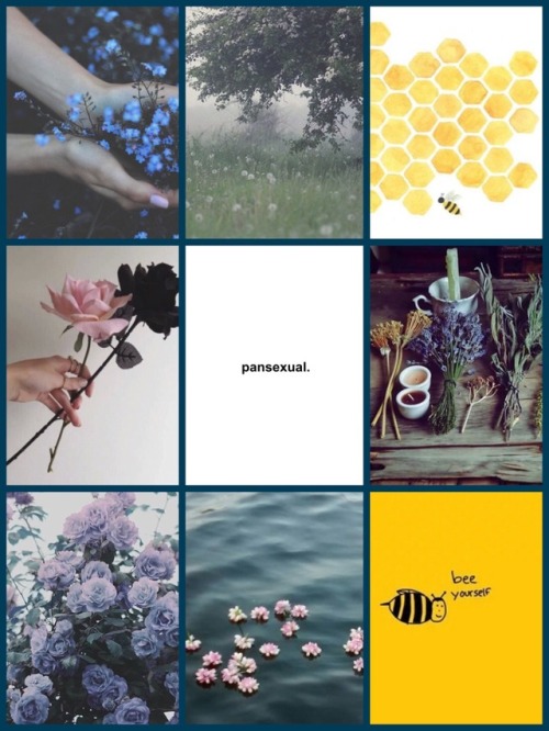 pridesthetics:pansexual (no flag) + bees + garden + witchy...