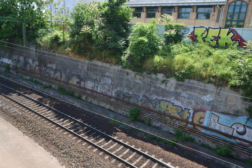 fbm sne fils olay lee pek graffiti fitti trainline trainline graffiti pesterzsébet pesterzsébet graffiti