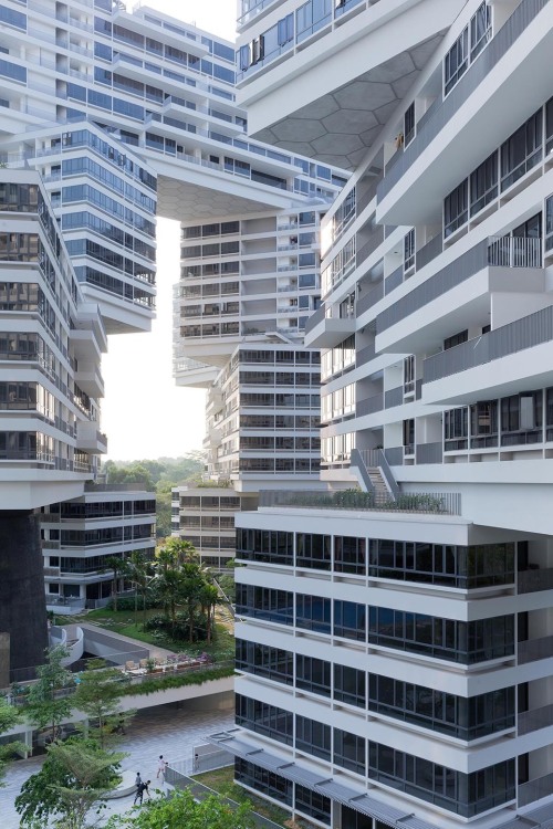 archatlas:The Interlace OMA