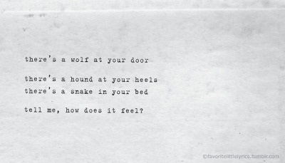 Wolf At Your Door Tumblr