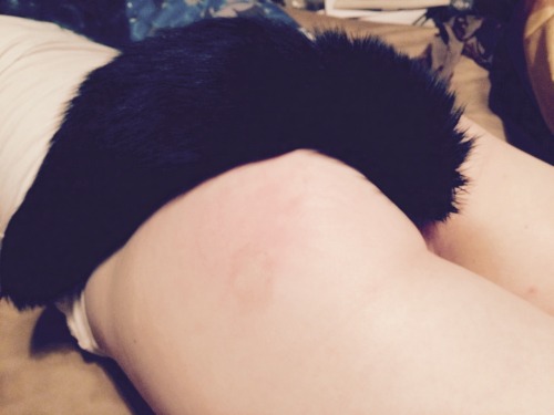 bondagekitty69:I love my kitty tail.