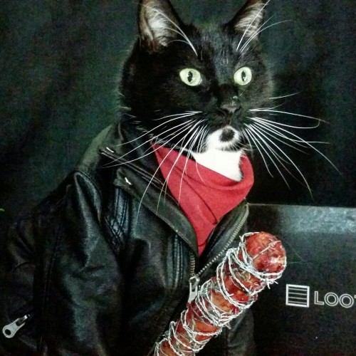 cat-cosplay:“You can breathe. You can blink. You can cry....