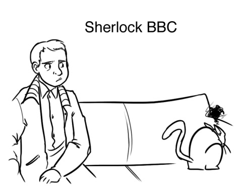 themindisacity:lifeandotheroddtales:Different Sherlock...