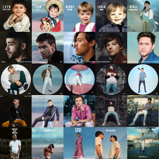 quarantine day ??: 1d solo albums as the others