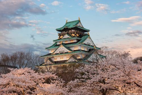 marshimoo:sixpenceee:Osaka Castle is a Japanese castle in...