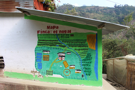 Alfonso Pillimue & Family specialty coffee farm Finca Nogal