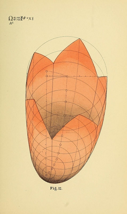 Rudy Godinez B W Betts Geometrical Psychology 1887