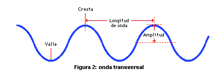 Una onda transversal es una onda en la que cierta magnitud vectorial presenta oscilaciones en alguna dirección perpendicular a la dirección de propagación. Para el caso de una onda mecánica de desplazamiento, el concepto es ligeramente sencillo, la...