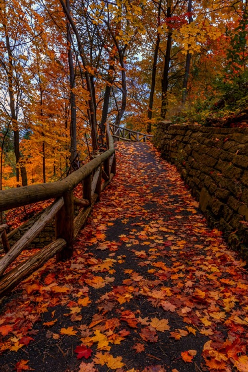 autumn-dreamin:sublim-ature:Scarborough, OntarioMarvin Ramos...