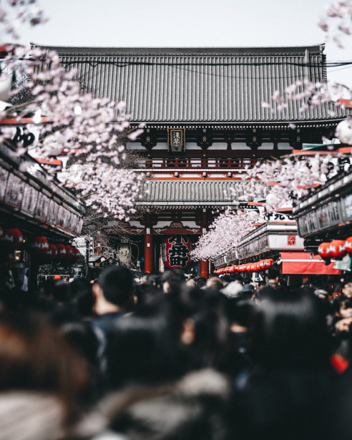 All about japan tumblr