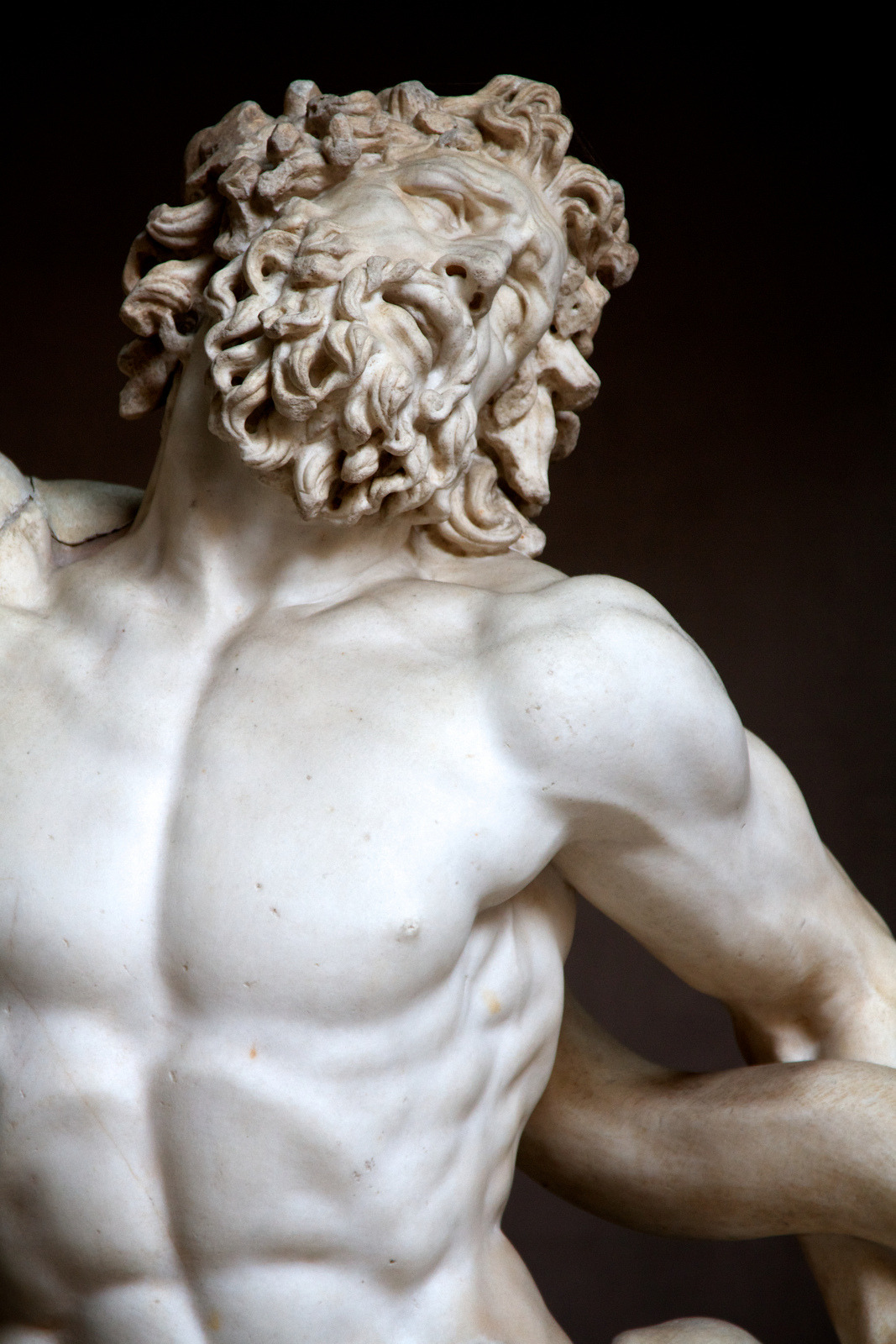 Laocoon and his sons essay : Jesse-opposing.ga