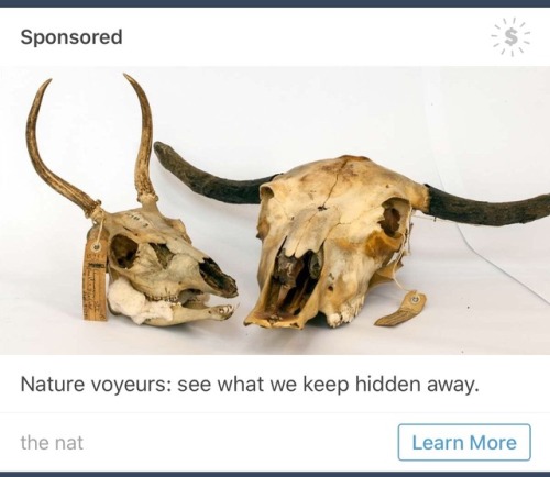 osteogenesis:Finally a weird Tumblr ad that gets me