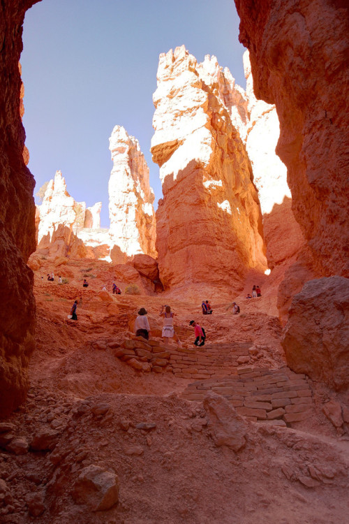 philotheoristic:Bryce Canyon N.P. Below the Rim,…Navajo Loop -...