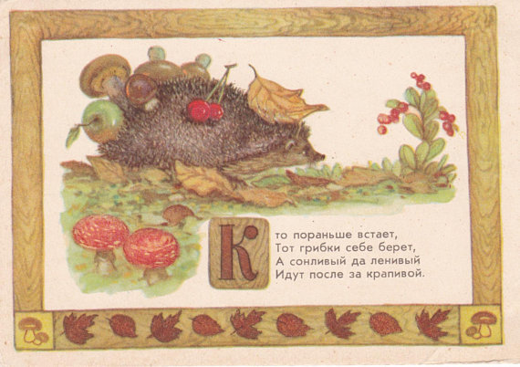 Little Hedgehog postcard by A. Dudnikov (1956)
“The early riser gets the mushrooms. But the sleepy and the lazy ones trails behind and get the nettle.”
Buy: https://etsy.me/2Hd7zhe