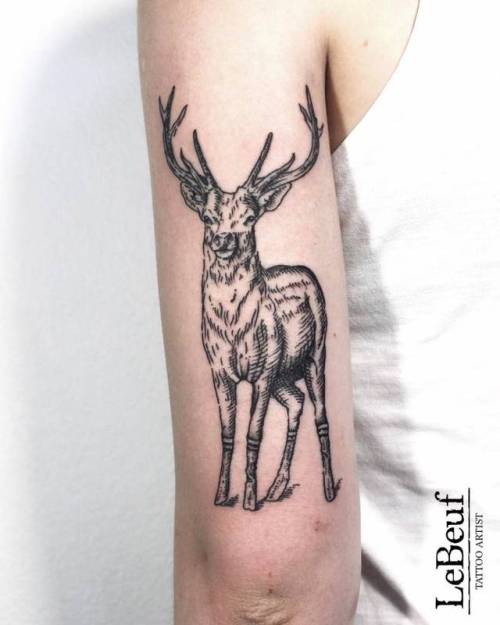 By Loïc LeBeuf, done at Grotesque Tattooing, Carouge.... loiclebeuf;deer;animal;facebook;blackwork;twitter;engraving;medium size;upper arm