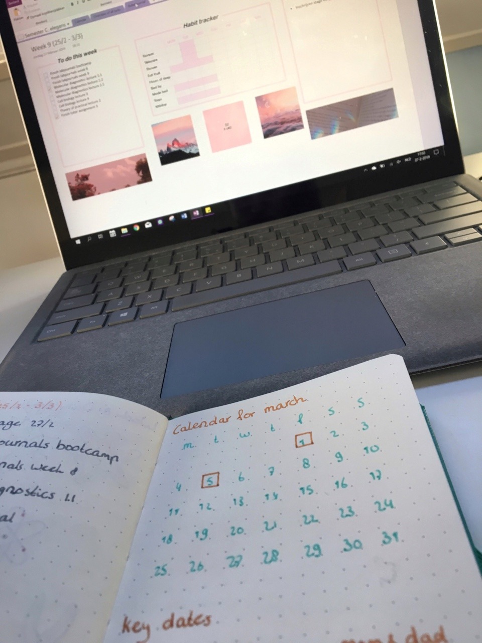 how to use onenote for bullet journal