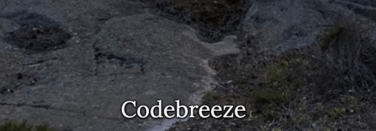 Codebreeze 2020