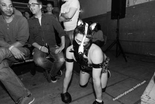 thepittsburghpuppy:Jockstrap lube wrestling! Picking up dollar...