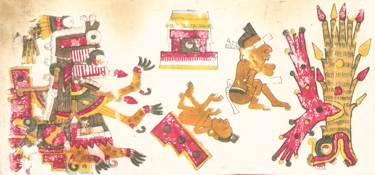 Azteca Memoria Itzpapalotl On The Right From The Codex Borgia