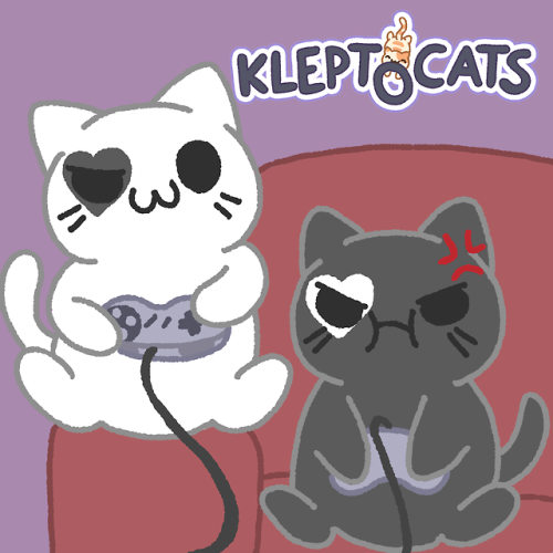 KleptoCats HyperBeard Kittens