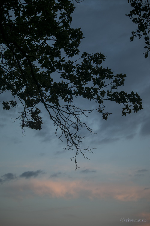 riverwindphotography:Sky Diariesriverwindphotography,...