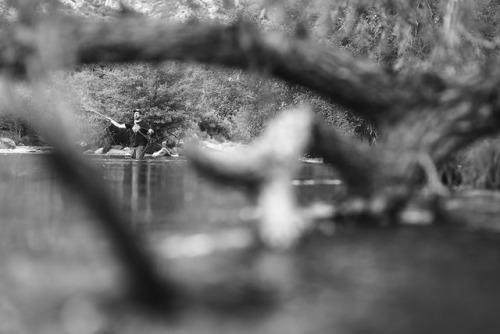 robhammerphotography