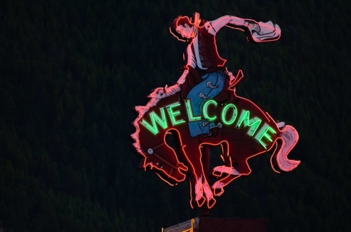 highwaykind:Neon signs and rodeo towns Moodboard