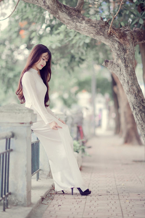 vietnamese-long-dress-ao-dai:Vietnamese long dress (Ao...