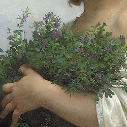 paintingses:Bouguereau + Fruits, flowers, foliage, etc…