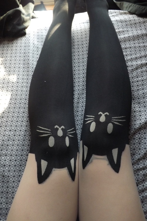 Cat Tights On Tumblr 1251