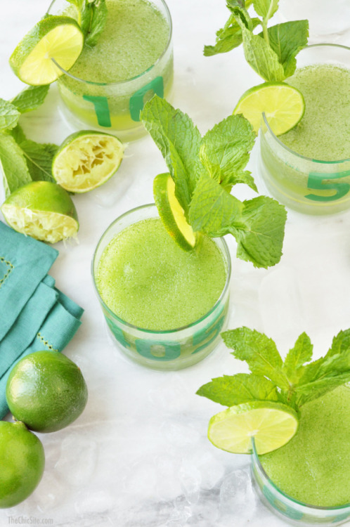 hoardingrecipes:Frozen Mojitos