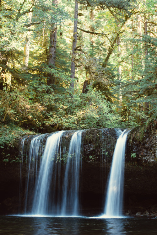 timberphoto:the things my eyes have seen