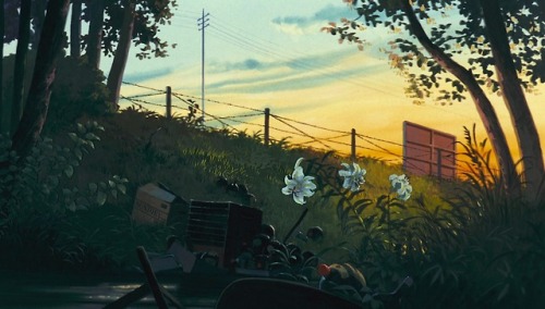 ghibli-collector:Nature Art Of Studio Ghibli’s Pom Poko - Art...