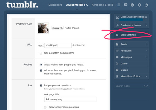 Tumblr Support Preferences And Settings