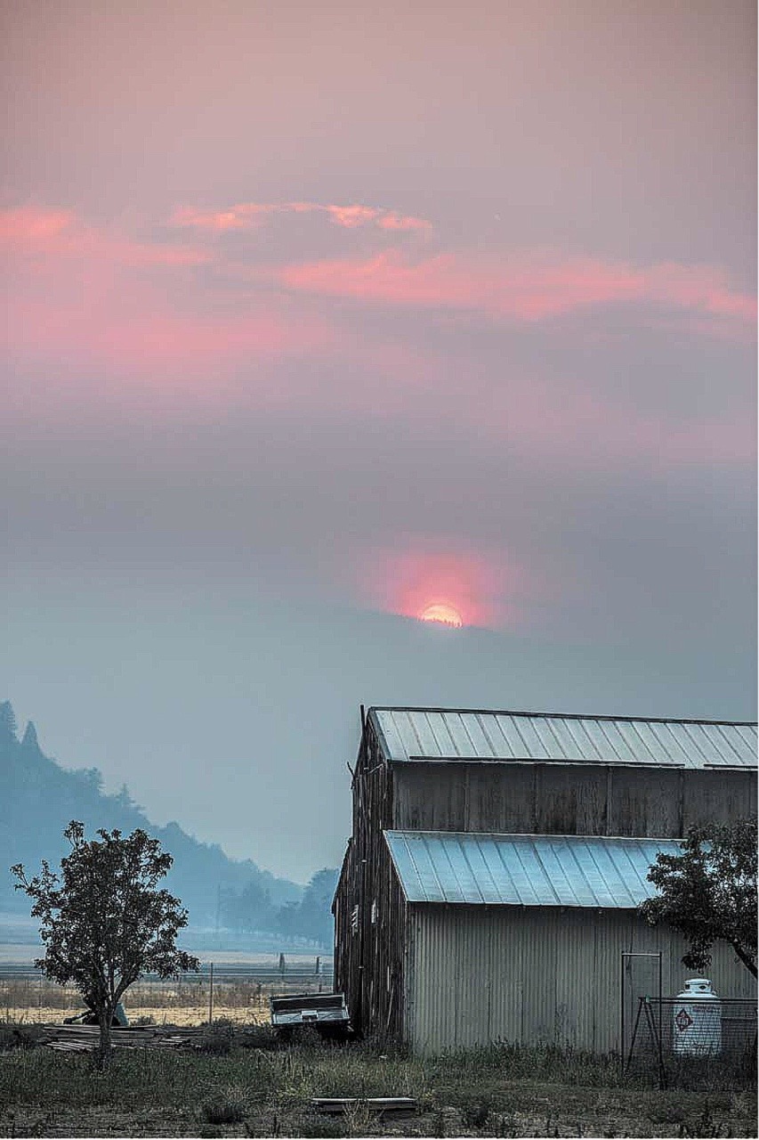 oldfarmhouse: “ Mornings?on the Farm “i get the invitation every morning when i wake up to actually live a life of complete engagement, a life of whimsy, a life where love does. it doesn’t come in an envelope. it’s ushered in by a sunrise, the sound...