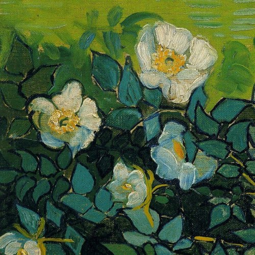 mare-di-nessuno:Flowers courtesy of Vincent Van GoghIrises,...