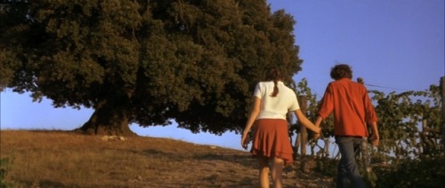 fernandatesoro:Stealing Beauty, 1996. 