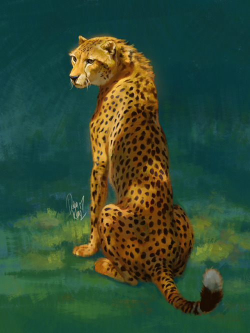 tamberella:A quick cheetah painting I did for a demo in my...