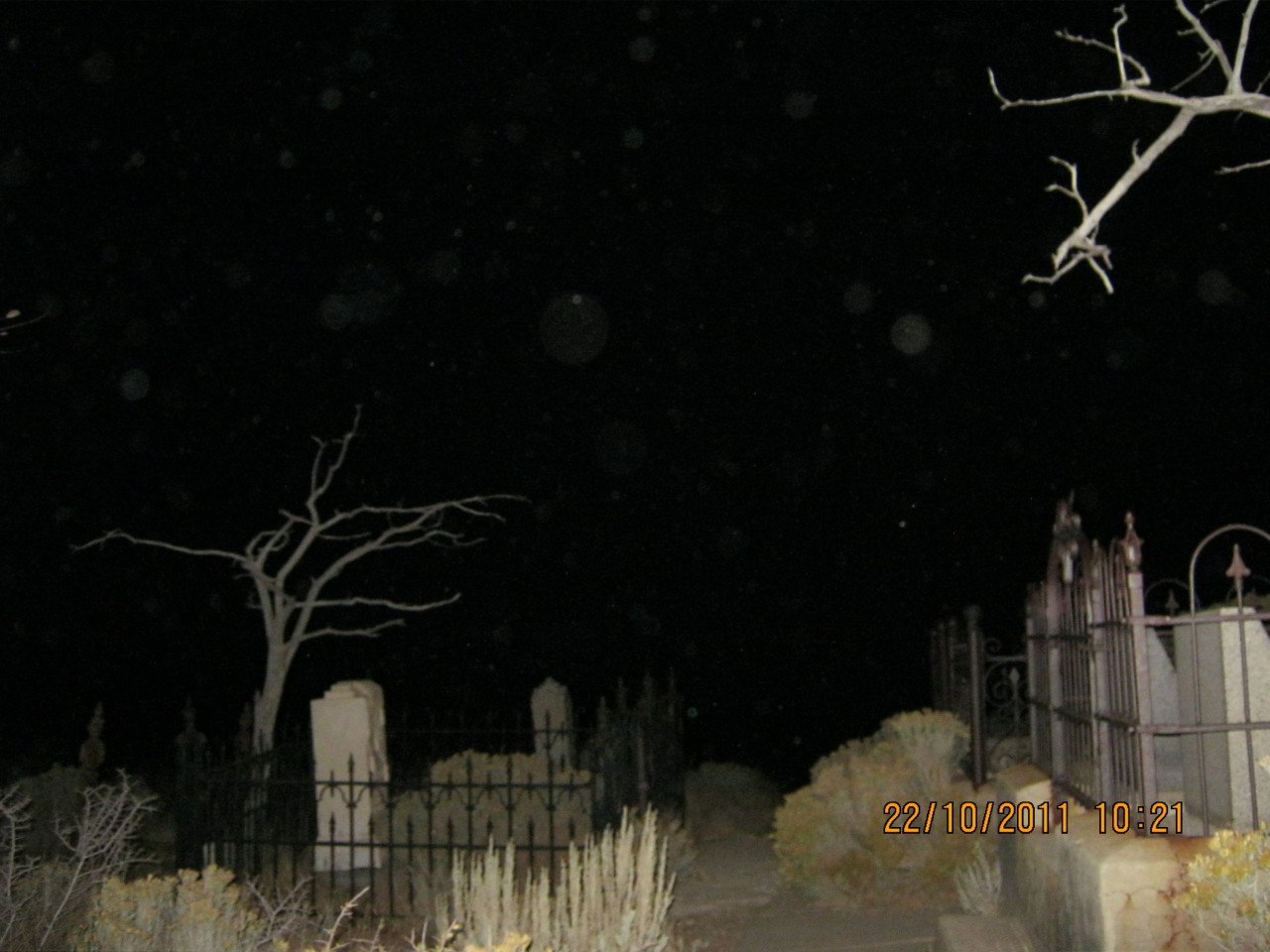 Фосфор на кладбище ночью
