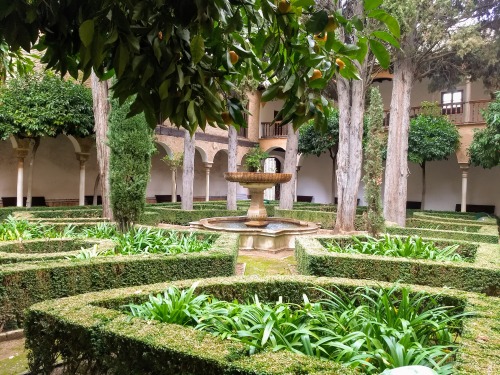 courtyard-liker420