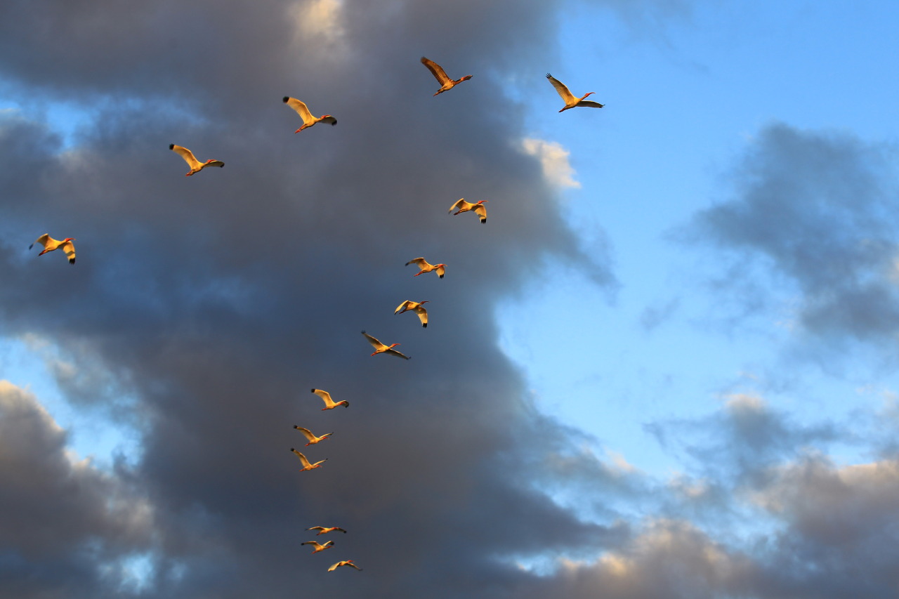 Yahoo News — yahoonewsphotos: Everglades National Park The...