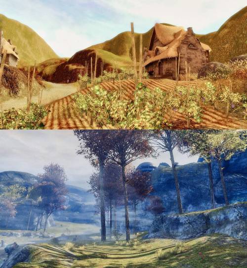 dailytyria:Ascalon pre-Searing, compared to Ascalon present...