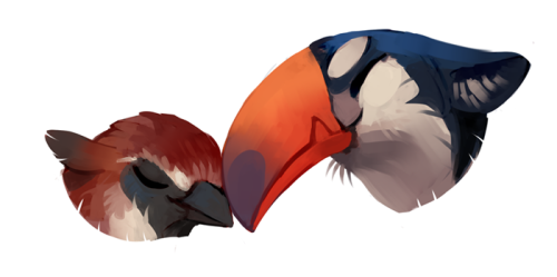 peregyr:designed some gryphon characters the other day!!i plan...