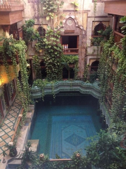 interior design home decor plants bohemian pools swimming pools
