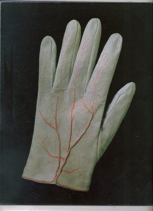 christopherbarnard:Glove by Meret Oppenheim 