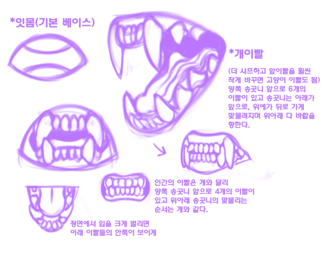 My way to draw dog teeth - BENNIEBENNIE