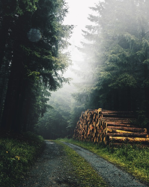 ingmvr:
“Hike through the forest  ingmvr_
”
Goals