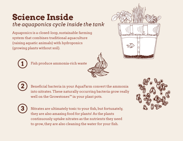 University of California Research — How your pet goldfish can help grow ...